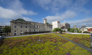 Xero Flor green roof mats are rolled out like sod on rooftops. They are installed atop three system components, which are also delivered in rolls for ease of installation.