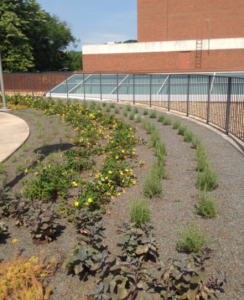 Green roofs, particularly the “intensive” version, which includes several inches of heavier-weight soil, can provide effective sound control.