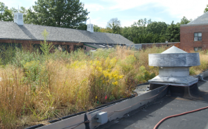 Consulting and engineering firm Geosyntec Consultants is monitoring and controlling runoff from an existing New York City Parks and Recreation facility green roof.