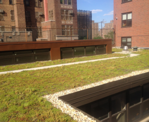 Maspeth Roofing & Contracting recommended an extensive green roof assembly featuring lightweight, prevegetated mats, delivered with mature Sedum plants for an instant green roof.