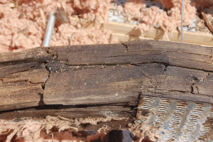 Photo 2a: Condensation in wood structures doesn’t result in good things. Note the deterioration of the wood trusses and their structural failure.