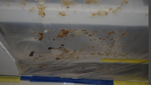 Photo 6: Note the staining on the polyethylene vapor retarder. If the condensation is great enough to drip, there will be major problems and high costs to remedy.