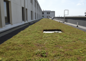 At the Ralph H. Johnson VA Medical Center in Charleston, a modular green roof system was installed to improve the quality of life for patients in the extended care wing.