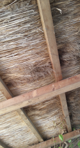 Photo 4. A view of the underside of a thatch roof. Village Museum in Bucharest. Photo: Ana-Maria Dabija.